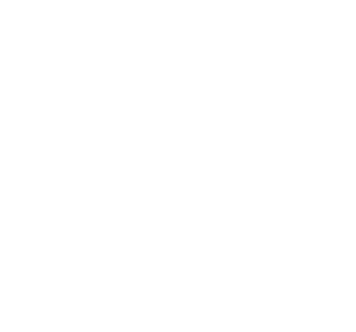 usrissien.com